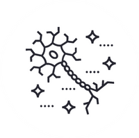 Neurologic_Functions.png