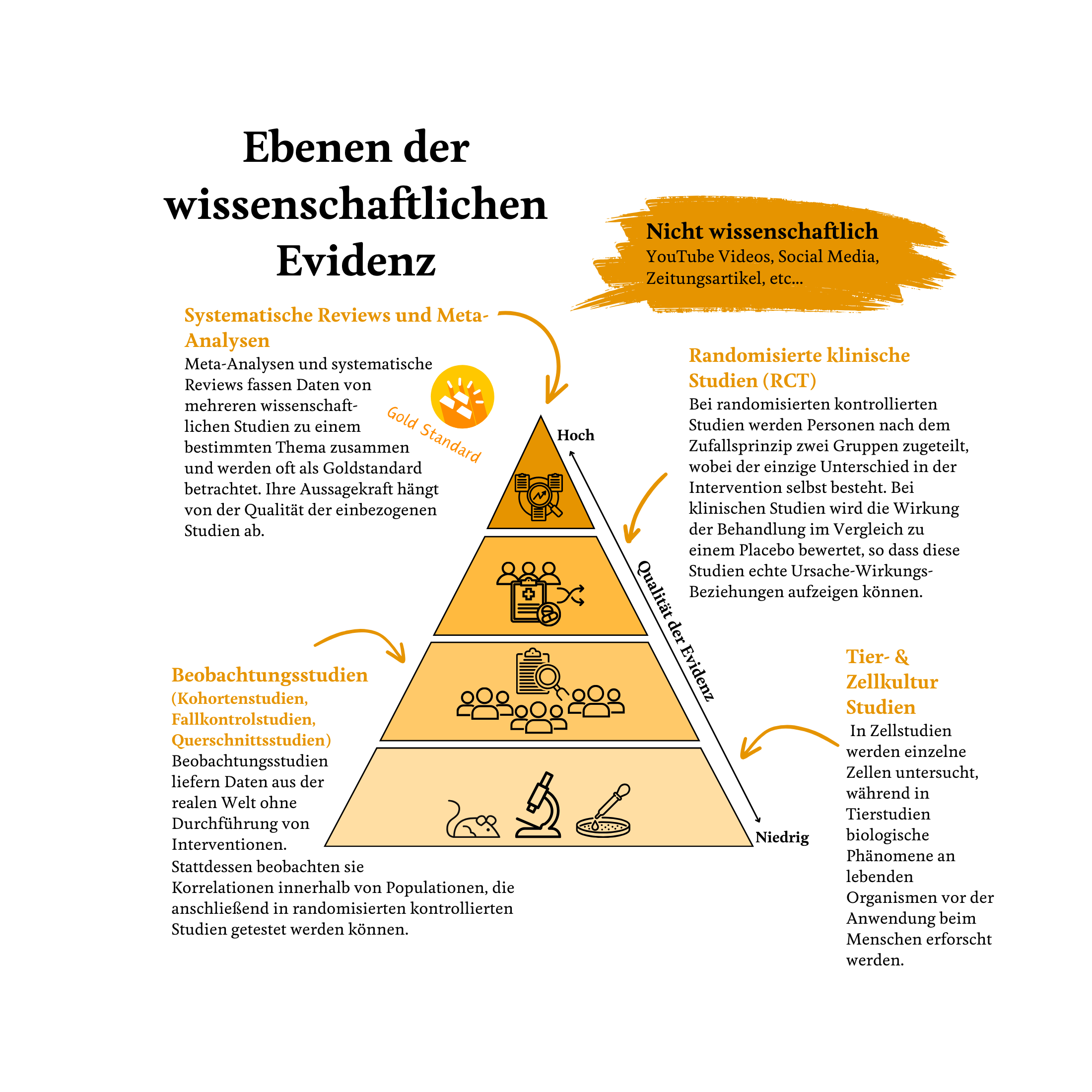 Science_Section_Graphics_1600_x_1050_px_1.png