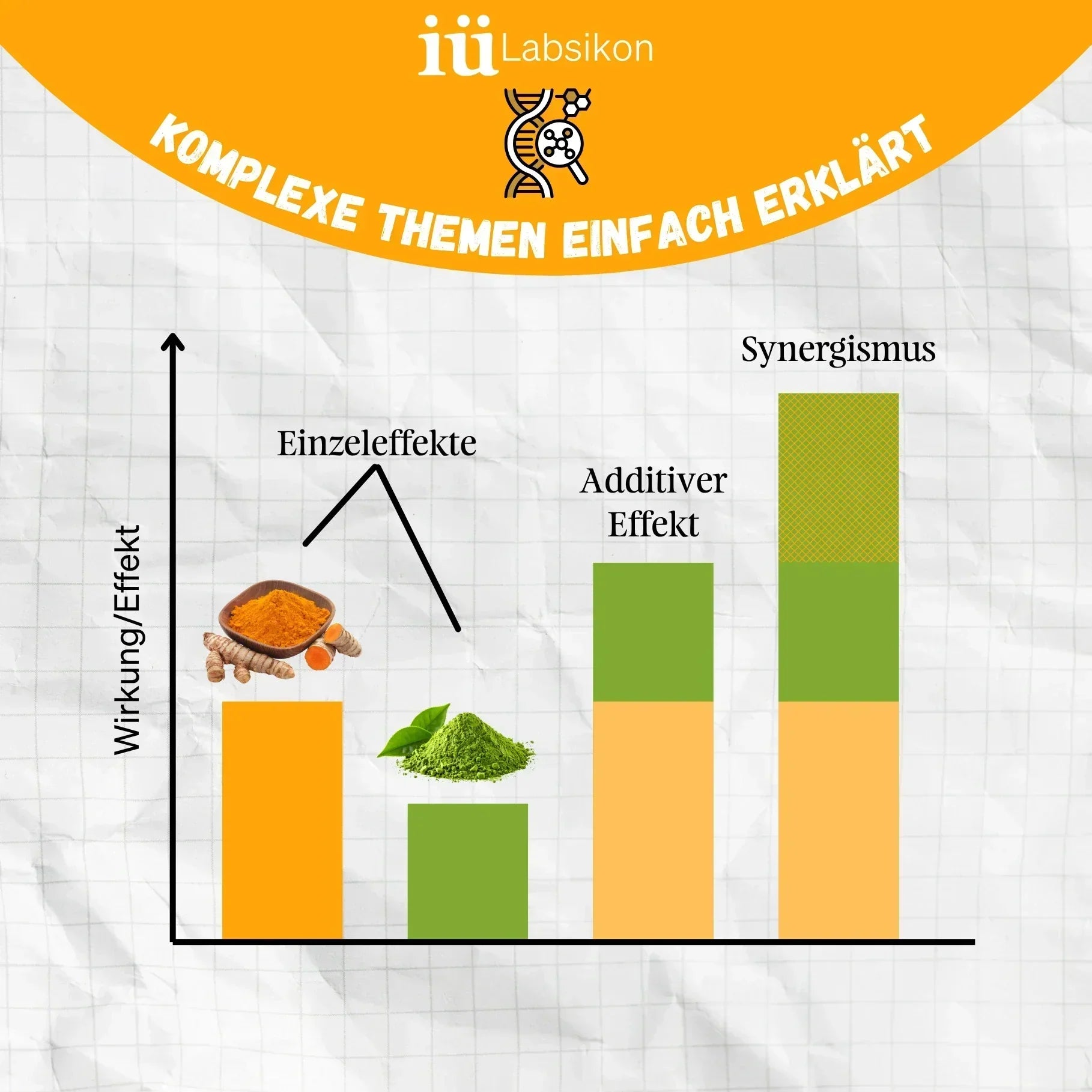 Infografik zum Synergismus: Ein Balkendiagramm zeigt den Unterschied zwischen Einzeleffekten, additiver Wirkung und Synergismus. Dabei wird veranschaulicht, dass die kombinierte Wirkung zweier Stoffe größer sein kann als die Summe ihrer Einzelwirkungen.