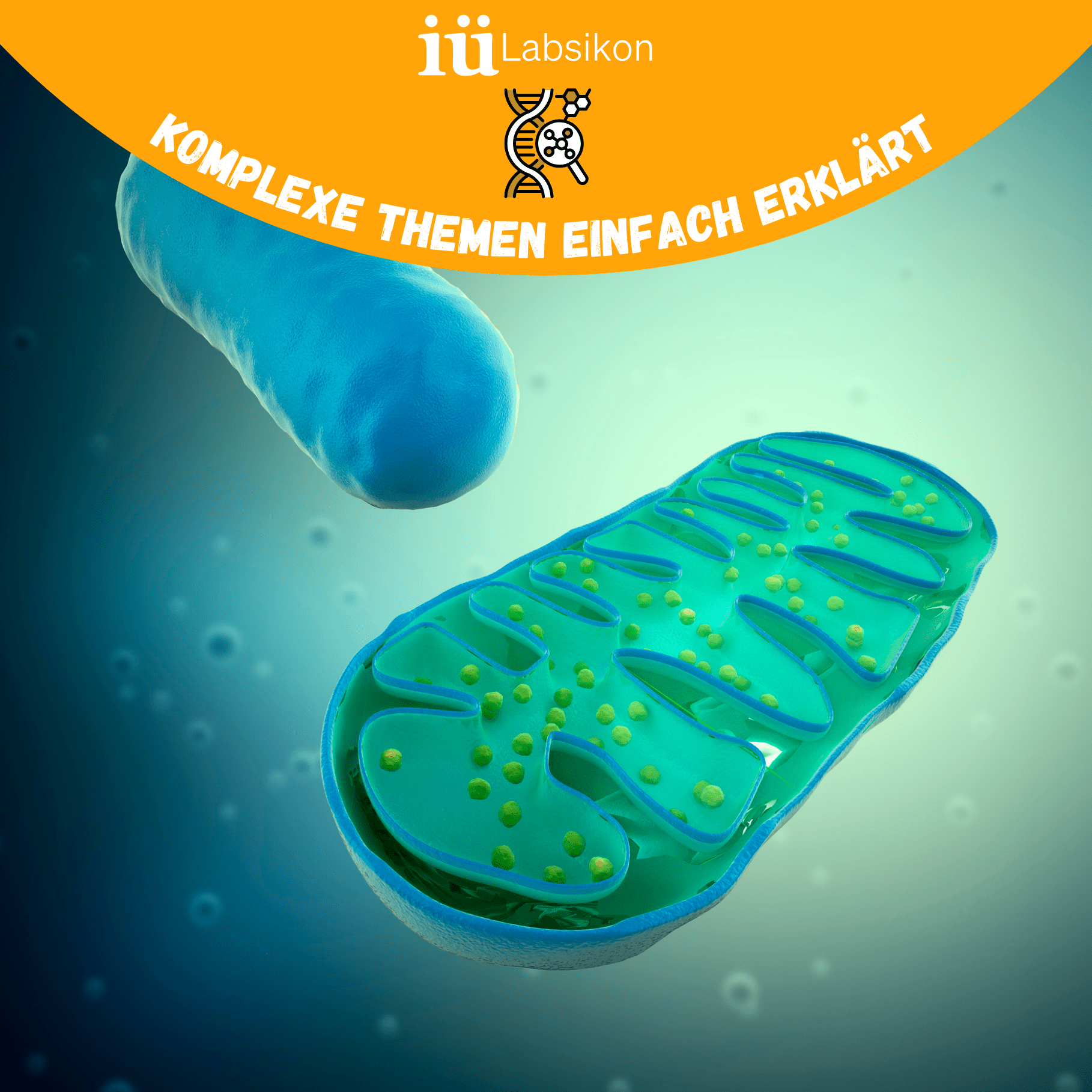 Mitochondria