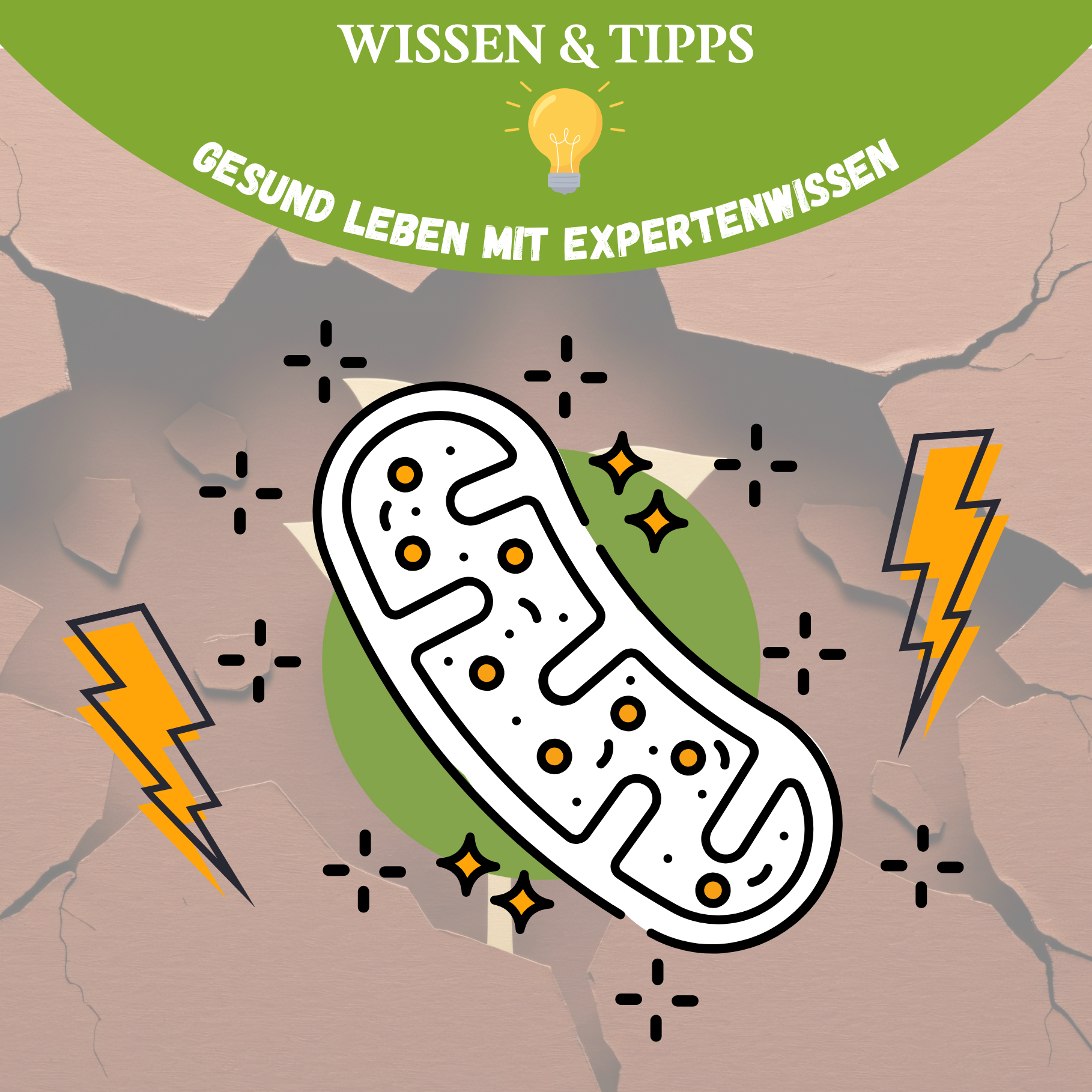 Resilienz der Zellen
