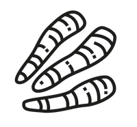 curcumin_48490a8b-fbb6-4101-9659-f2217419a306.png