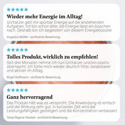 iüLabs Energie- & Fokus-Supplement iüVitalizer
