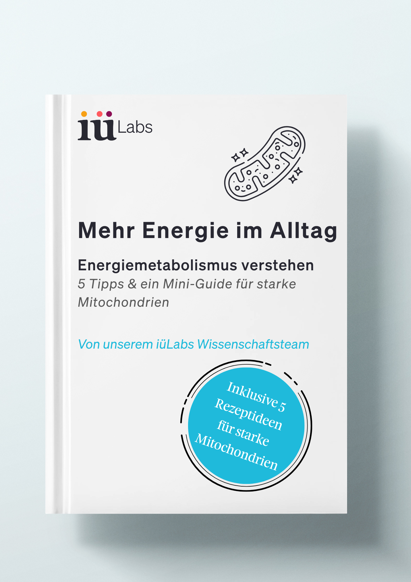 www.iulabs.de (8).png__PID:8b227da5-2cd5-43f1-b601-09e9392f6e9c